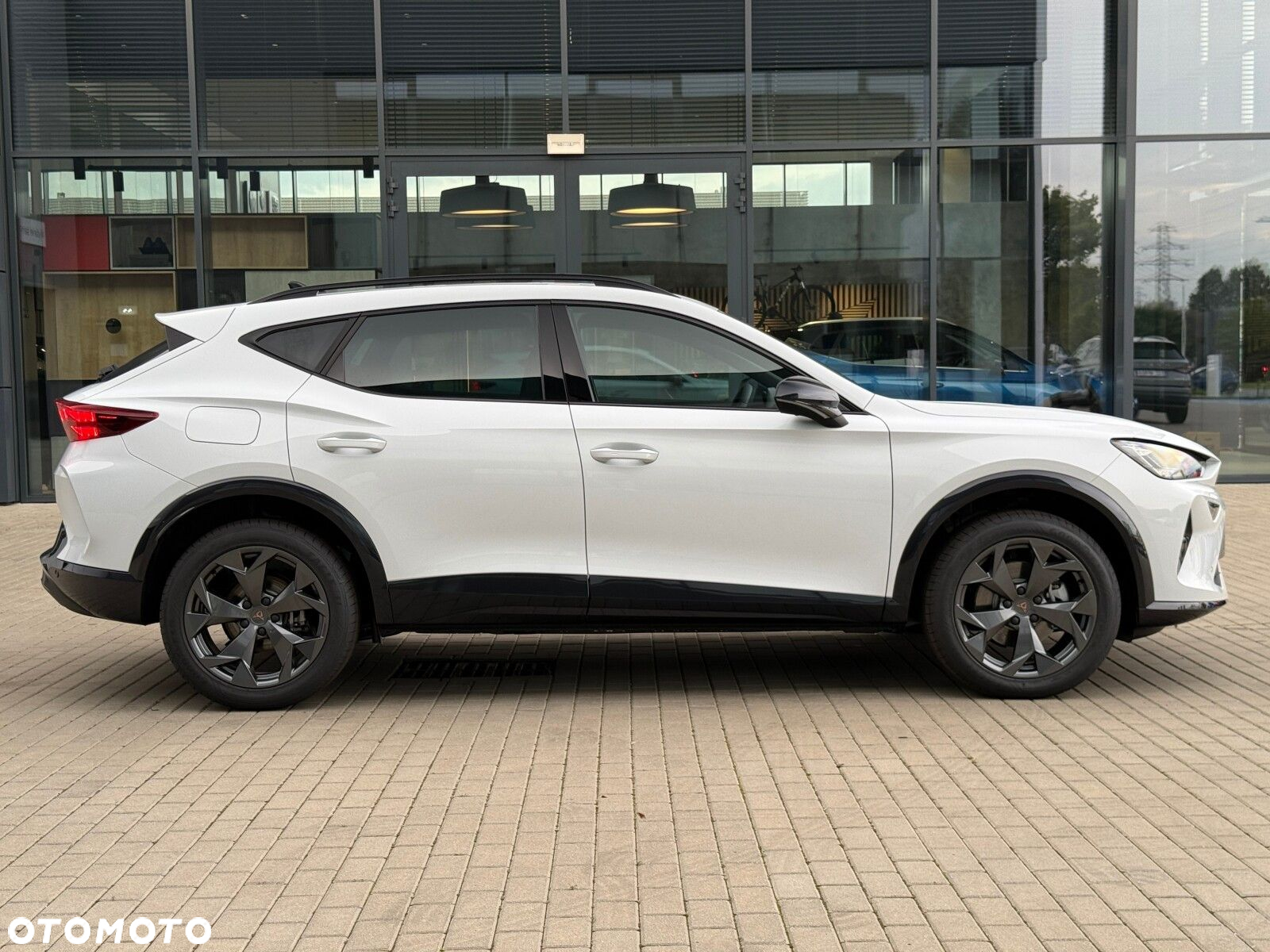 Cupra Formentor 2.0 TDI DSG - 7