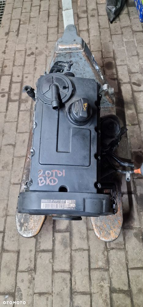 SILNIK VW PASSAT B6 Golf V Touran 2.0Tdi BKD - 5