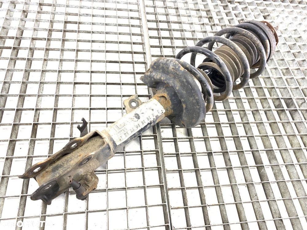 AMORTYZATOR PRAWY PRZÓD - 129.00 PLN - FORD FIESTA VI (CB1, CCN) 2008 - 2022 1.4 TDCi 51 kW [70 KM] - 3