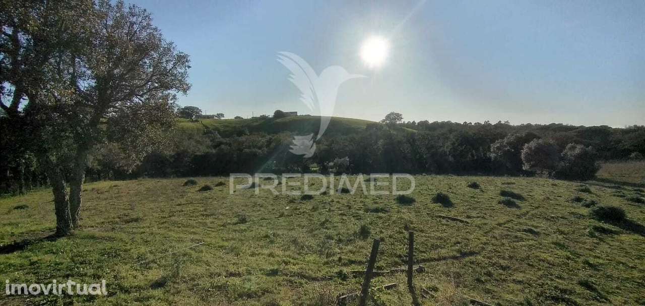 Monte Alentejano com 3 habitações e Piscina, Santa Cruz, Santiago d... - Grande imagem: 3/17