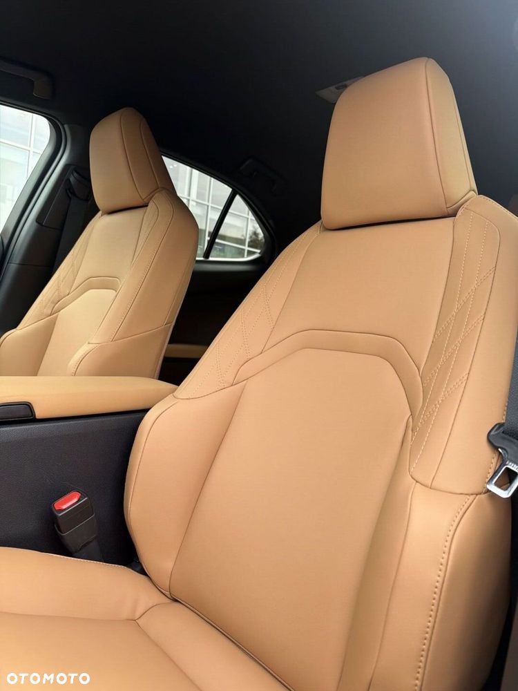 Lexus UX 300h F Sport Design - 12