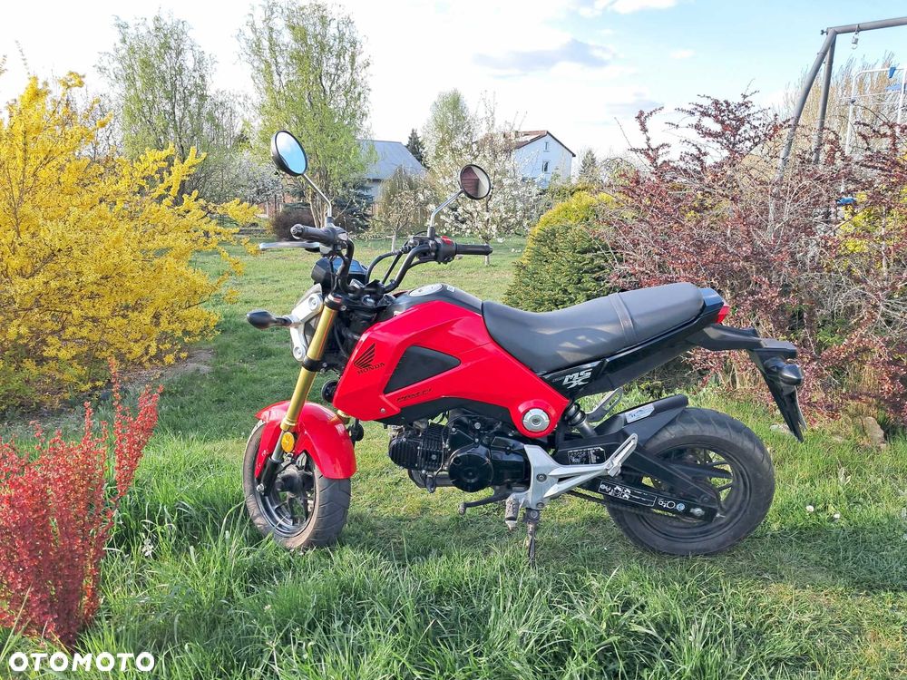 Honda MSX125 - 2