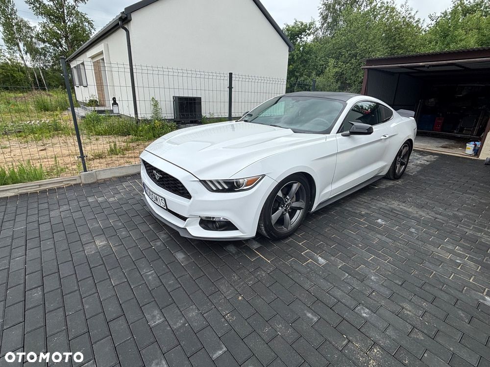 Ford Mustang - 1