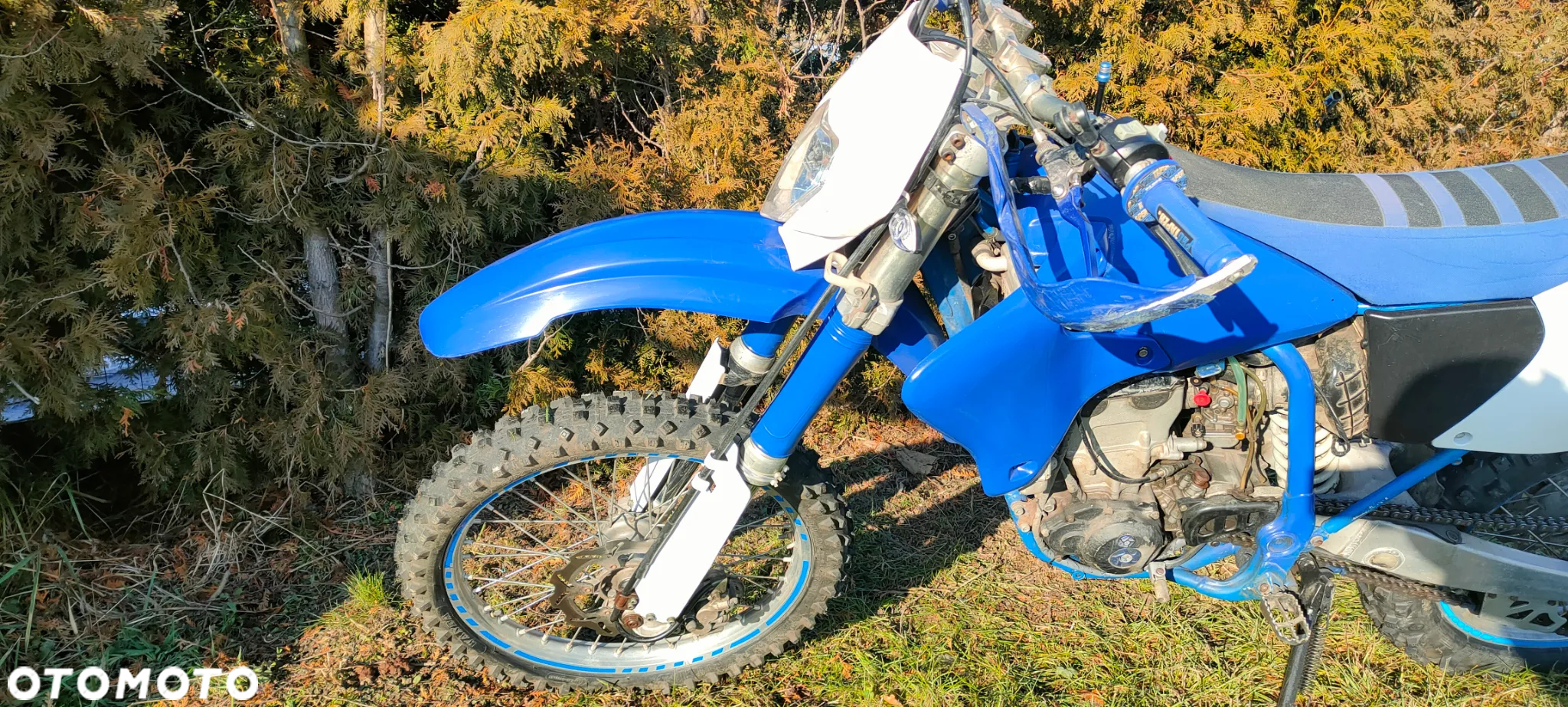 Yamaha WR - 2