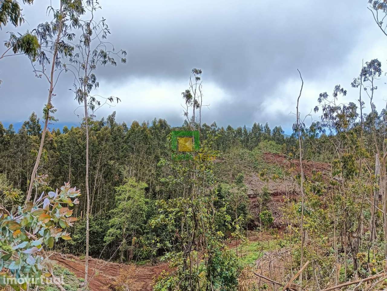 Terreno localizado no Santo da Serra - Grande imagem: 5/10