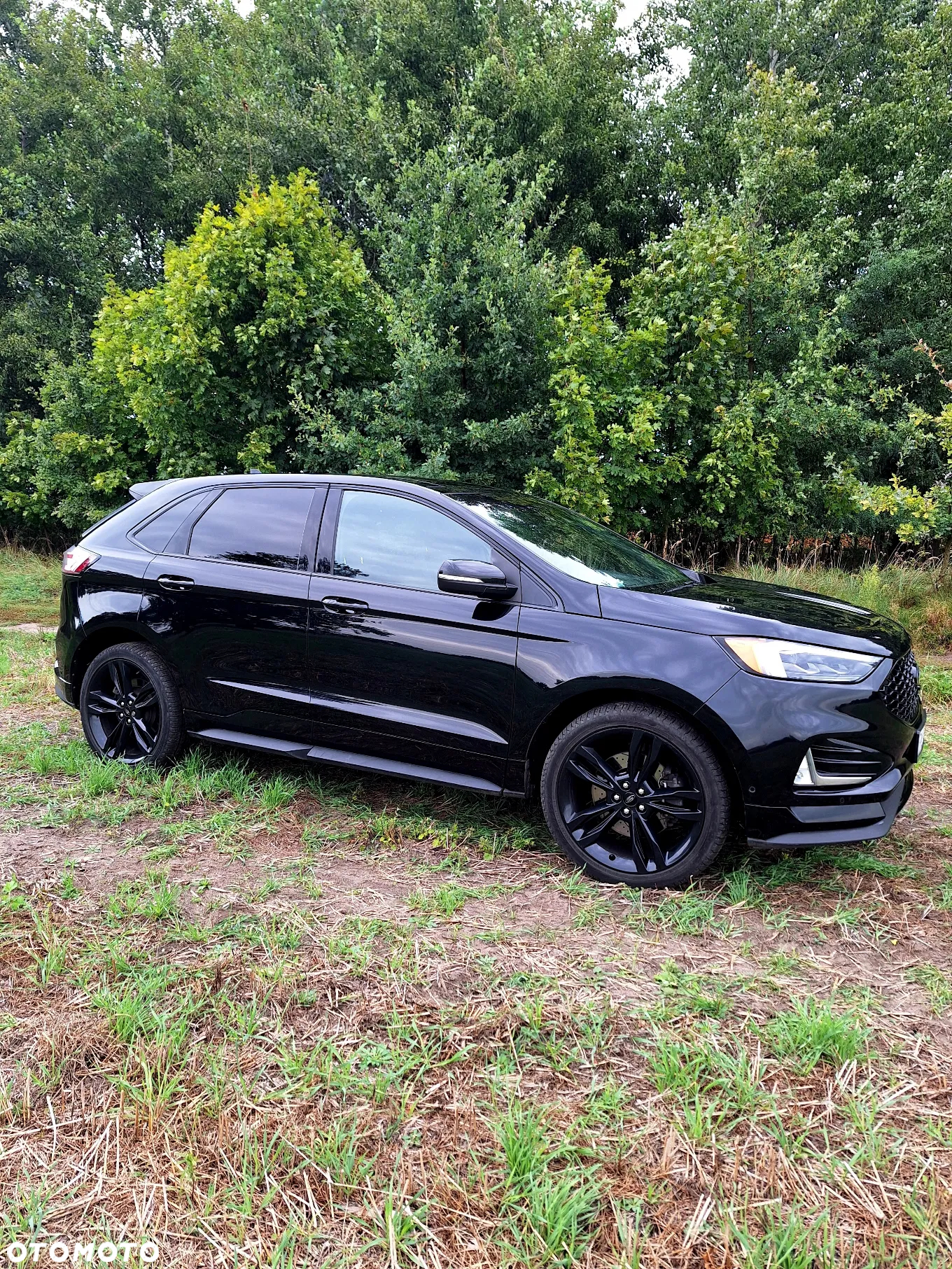Ford Edge - 13