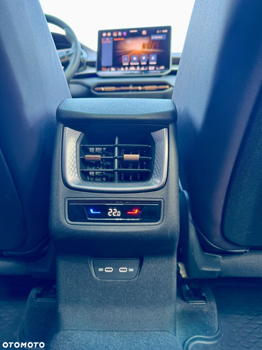 Cupra Terramar - 25