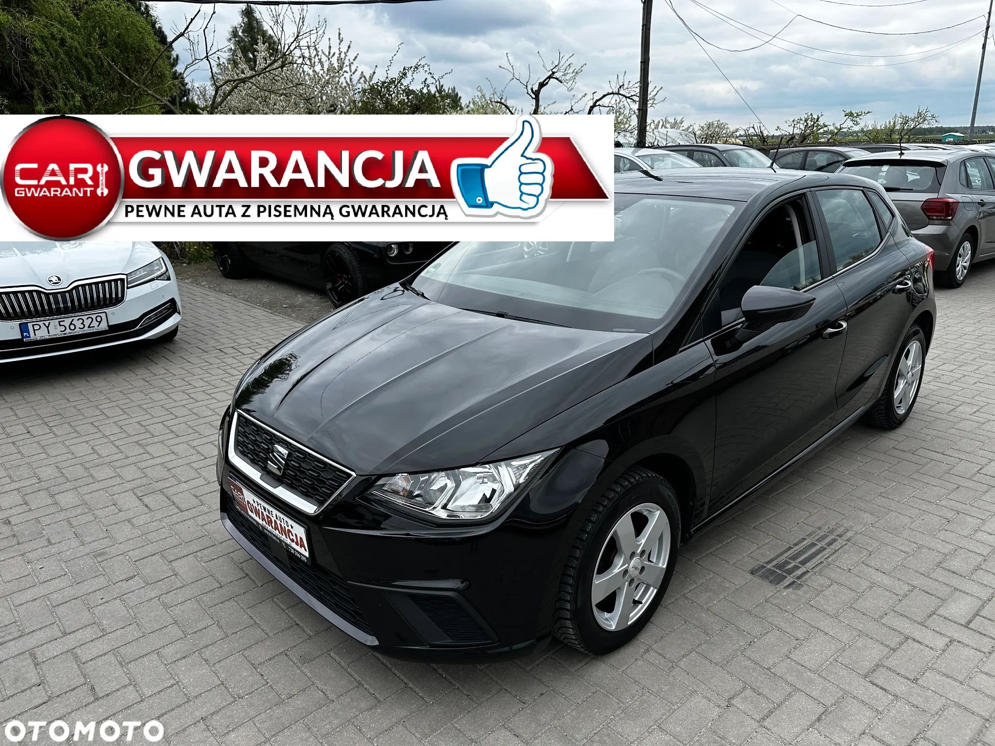 Seat Ibiza - 1