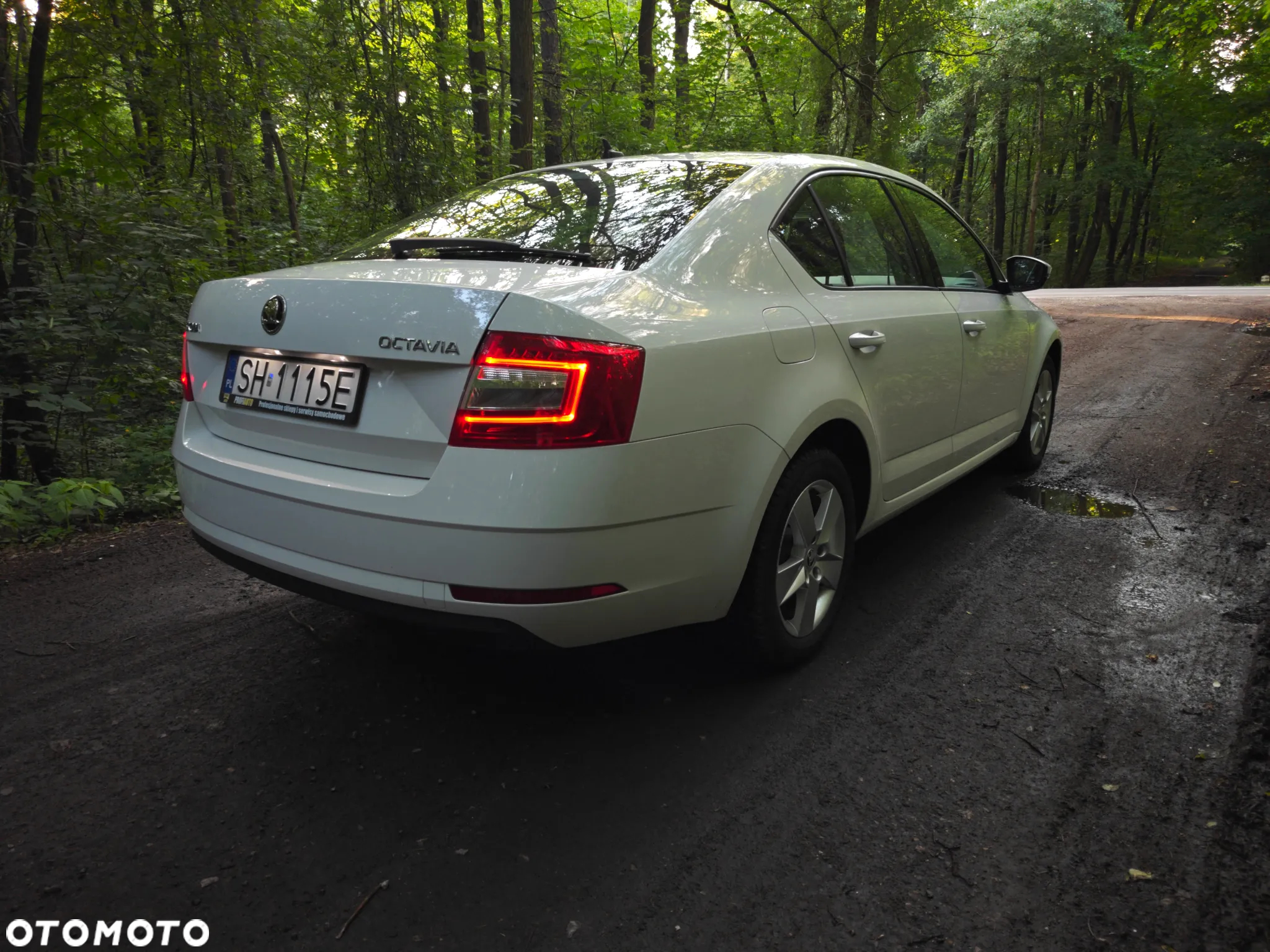 Skoda Octavia 1.6 TDI Ambition - 6