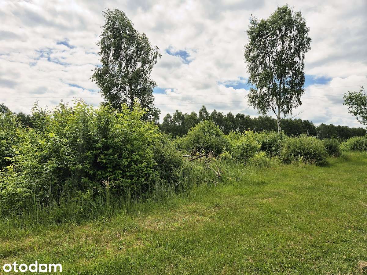 Działka budowlano-rolna ok. 1,4 ha | Zawada, gm. Kłomnice | MPZP - Pełny obrazek: 3/8
