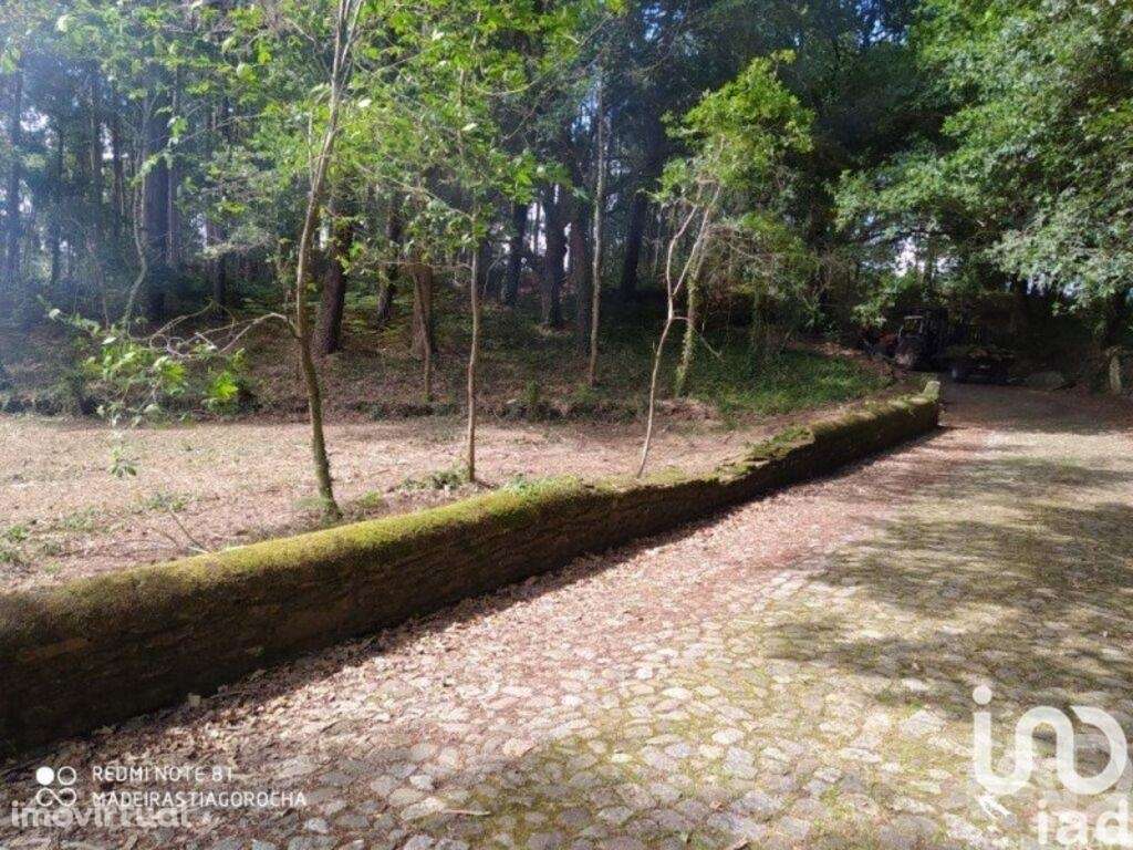 Terreno em Seixas de 1934,00 m2 - Grande imagem: 2/10