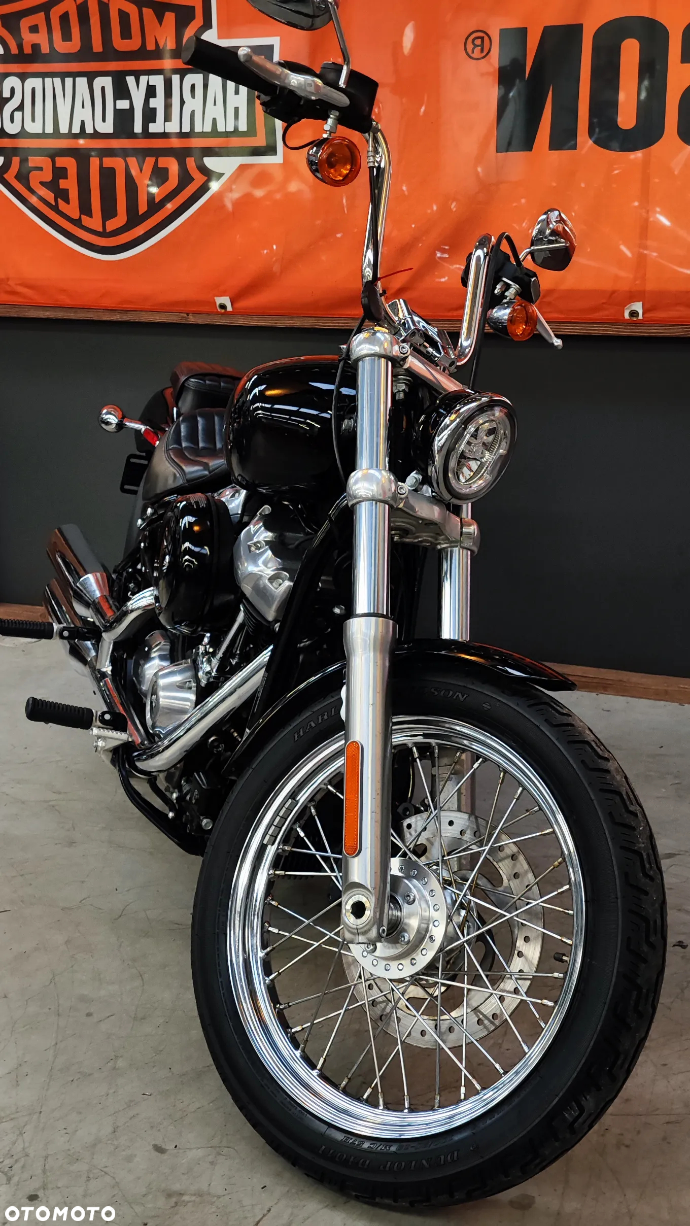 Harley-Davidson Softail Standard - 5