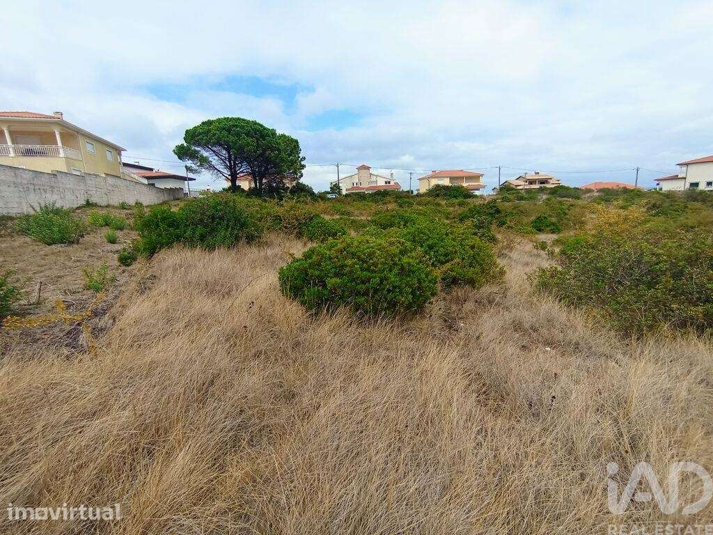 Terreno Agrícola em Santo António dos Olivais - Grande imagem: 5/25