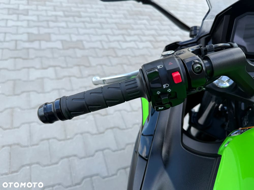 Kawasaki Ninja - 10