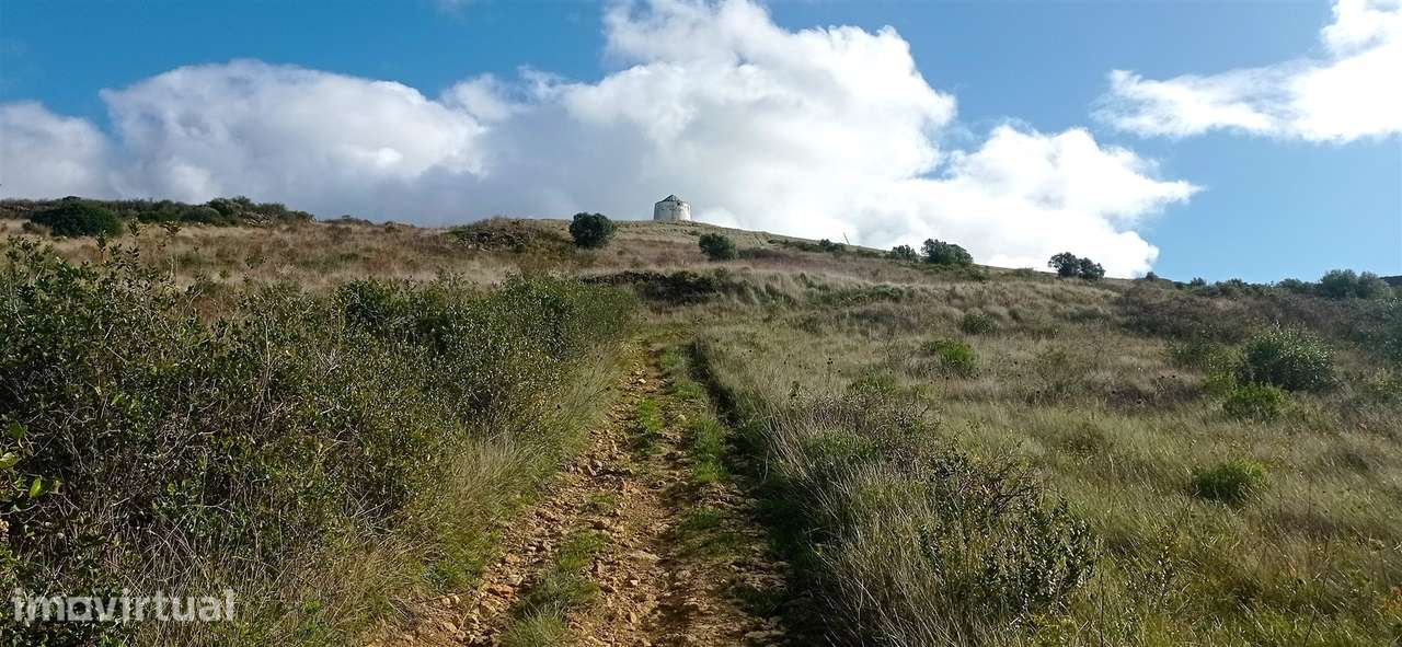 Terreno Rústico  Venda em São João das Lampas e Terrugem,Sintra - Grande imagem: 3/31