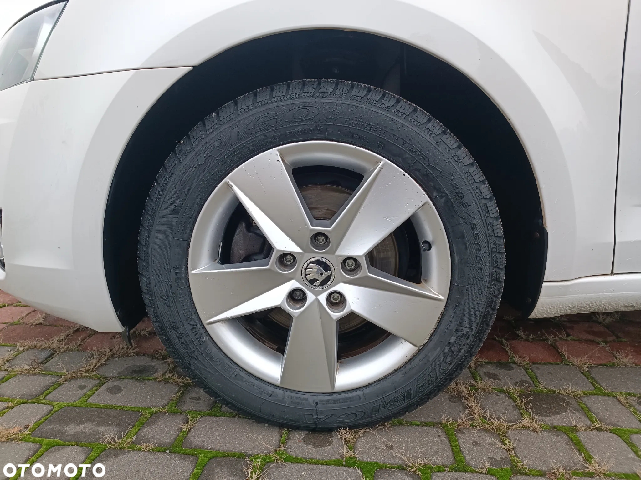 Skoda Octavia - 5
