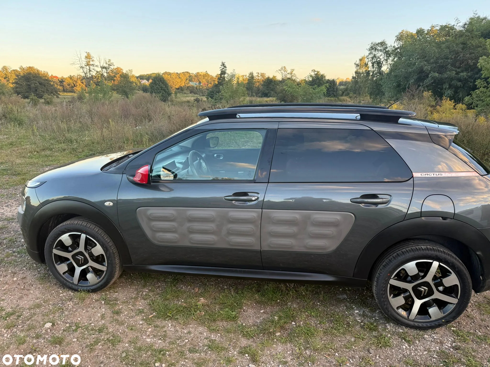 Citroën C4 Cactus BlueHDi 100 Stop&Start Live - 9