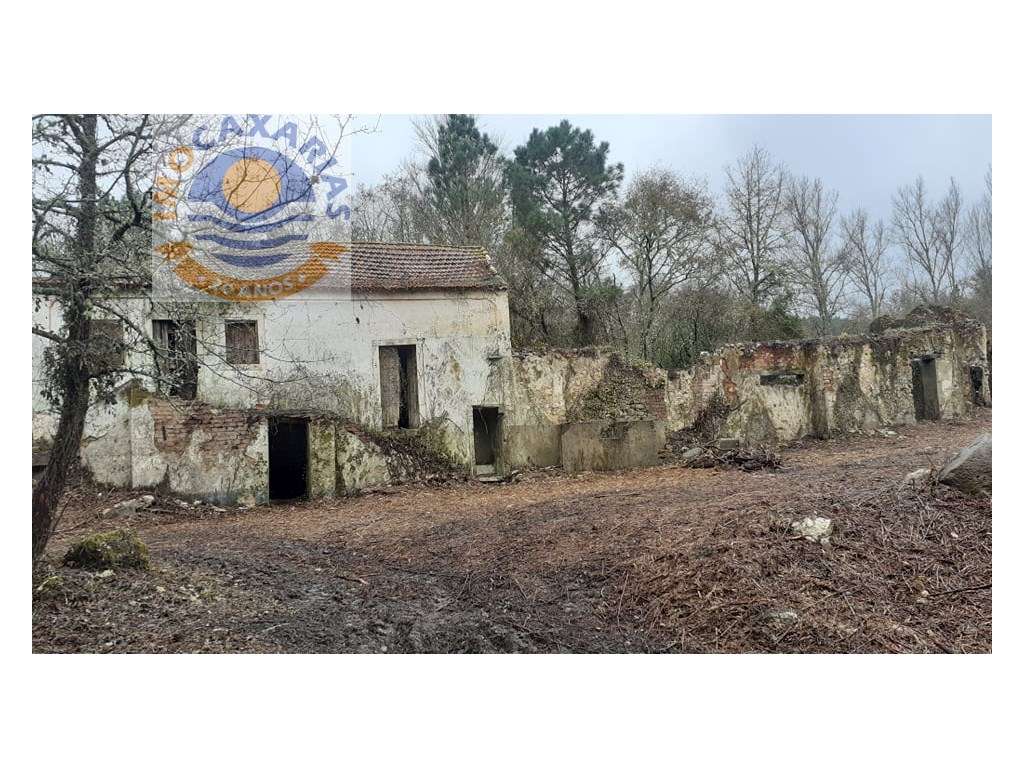 Quintinha para reabilitar T4, com 16 000m2 de Terreno. água em abun... - Grande imagem: 4/9