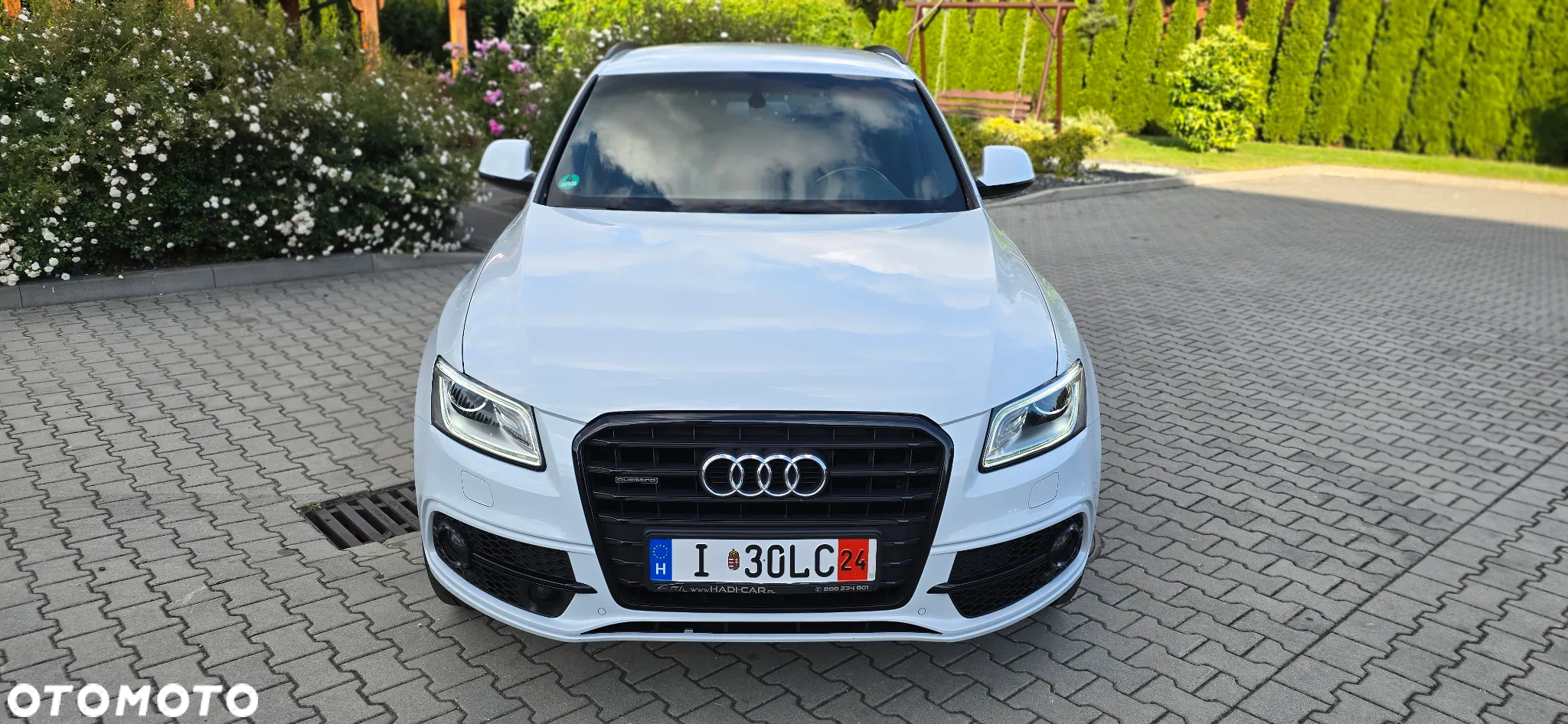 Audi Q5 2.0 TDI clean diesel Quattro - 10