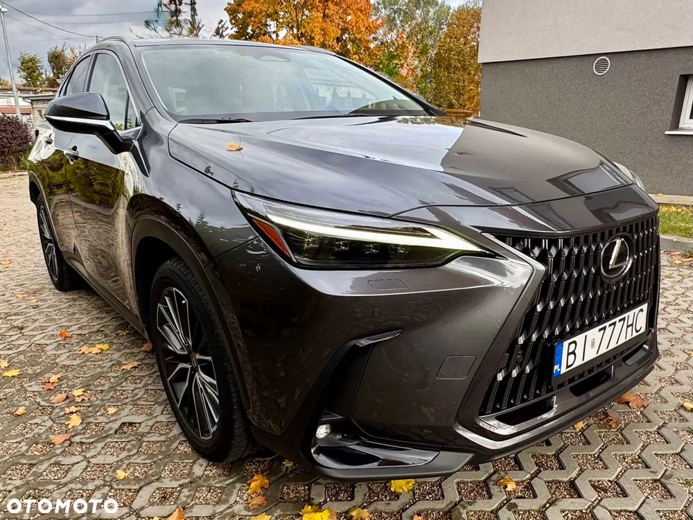 Lexus NX 450h+ Omotenashi AWD - 17