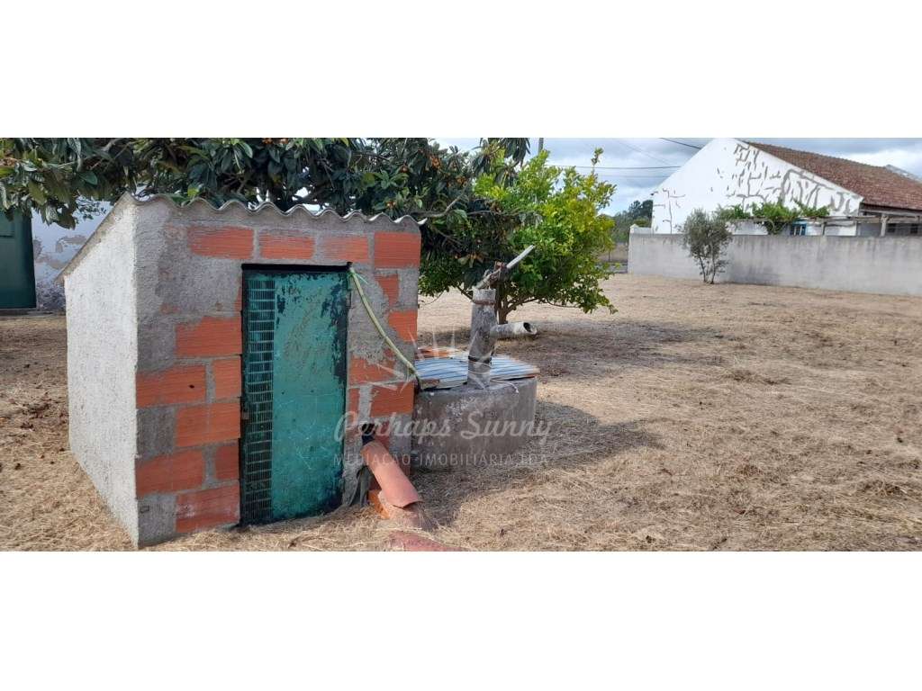 Moradia para Recuperar em Lote Urbano - Grande imagem: 3/9