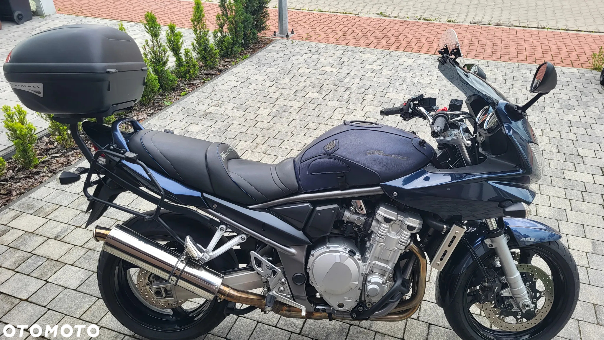 Suzuki Bandit - 14