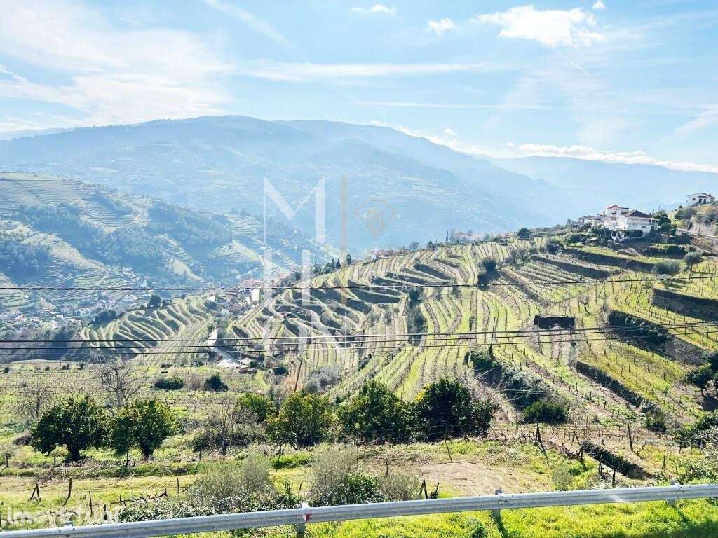 Quinta vinhateira de 1946, em Vila Marim, Mesão Frio – 71.000m2 de His - Grande imagem: 4/14