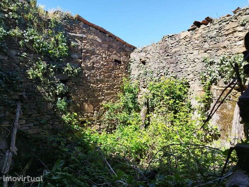 Casa antiga com terreno - Grande imagem: 5/7