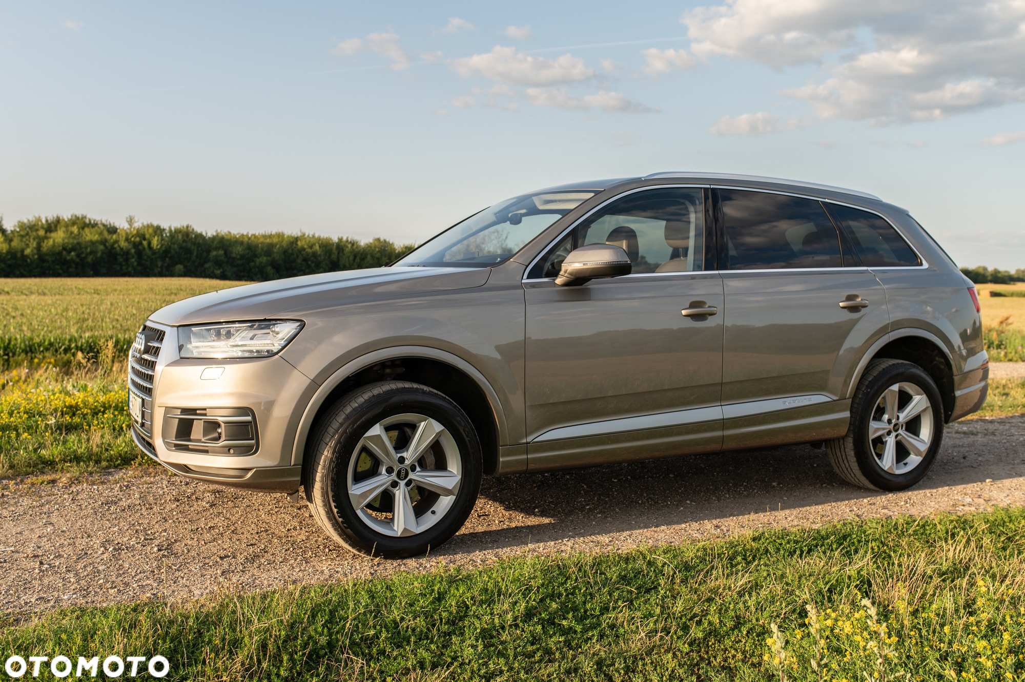 Audi Q7 3.0 TDI Quattro Tiptronic - 9
