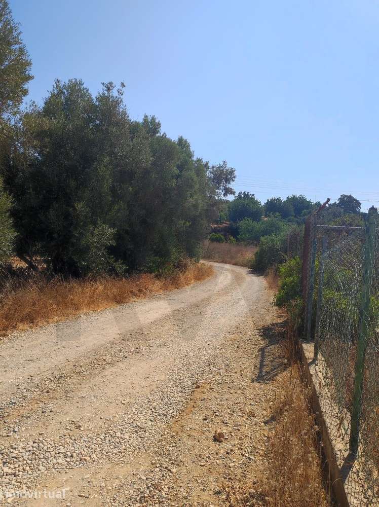 Terreno rústico com 4040m2, localizado em Quelfes - Olhão - Grande imagem: 4/12