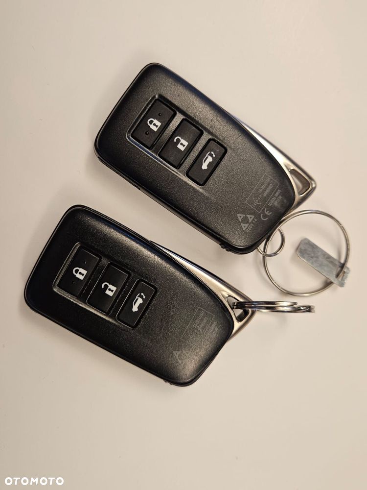 Lexus RX 200t / 300 Elegance - 13