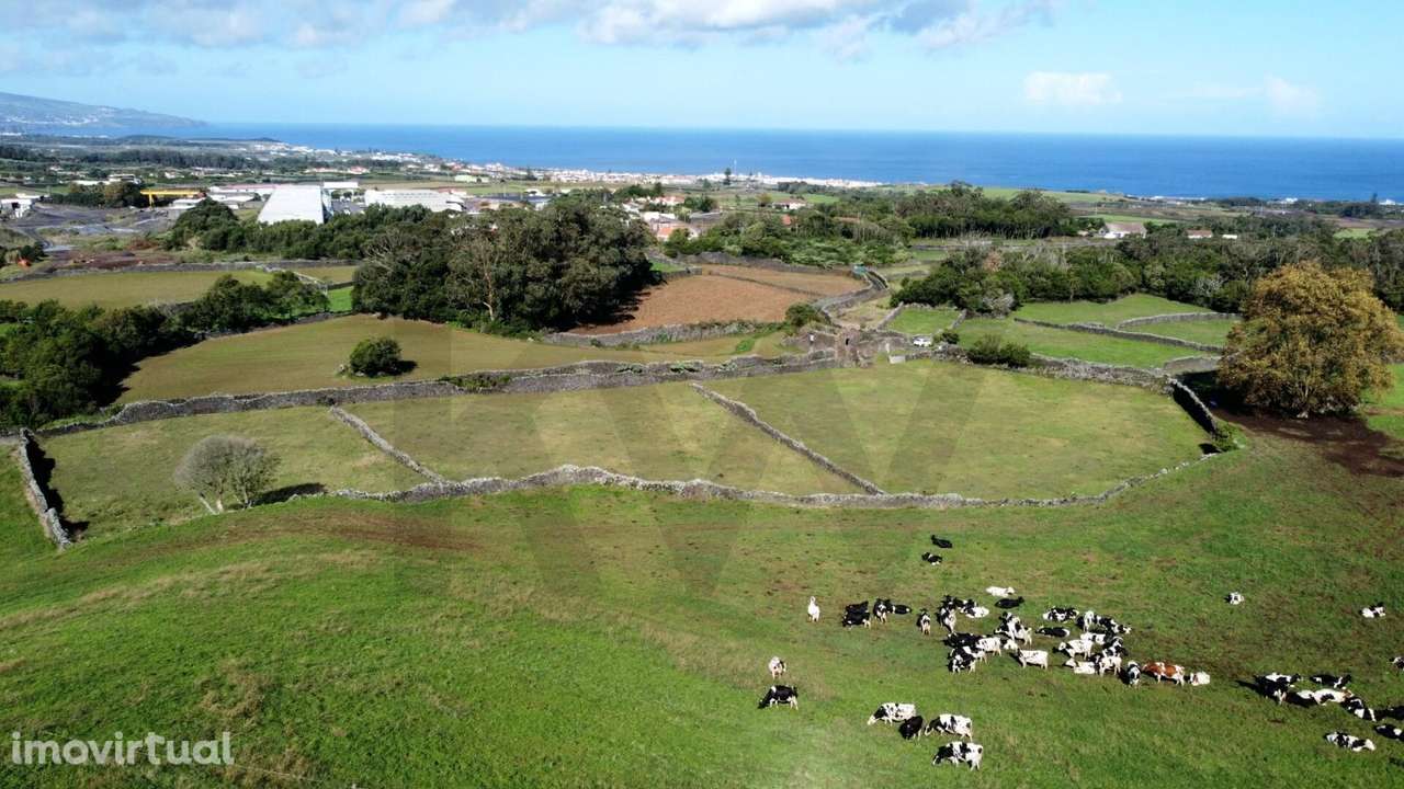 Terreno Rústico com 8.780 m2 localizado no Pico do Alho - Ribeira Gran - Grande imagem: 2/16