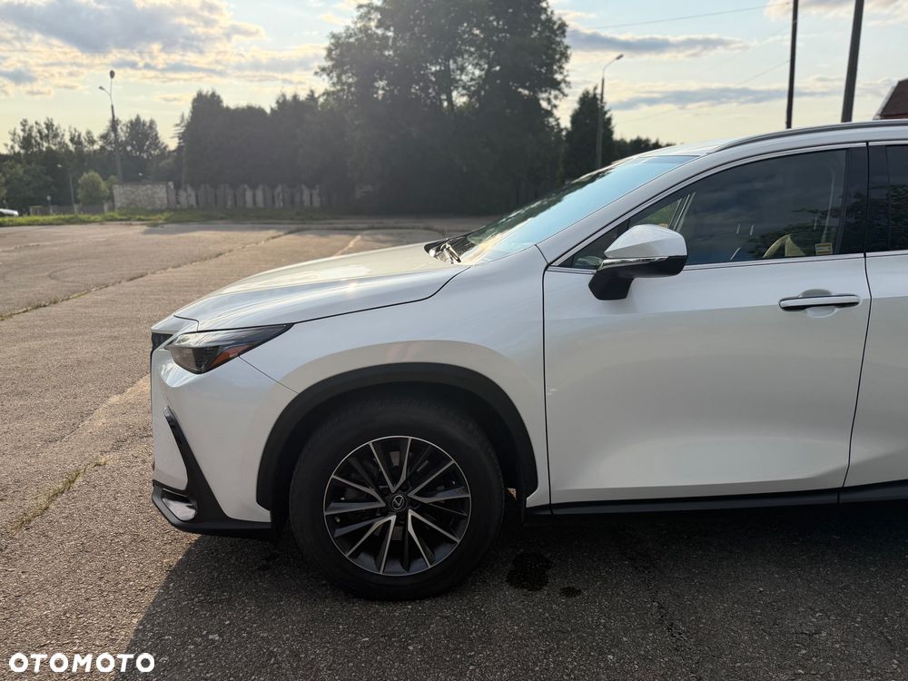 Lexus NX 350h Business AWD - 5