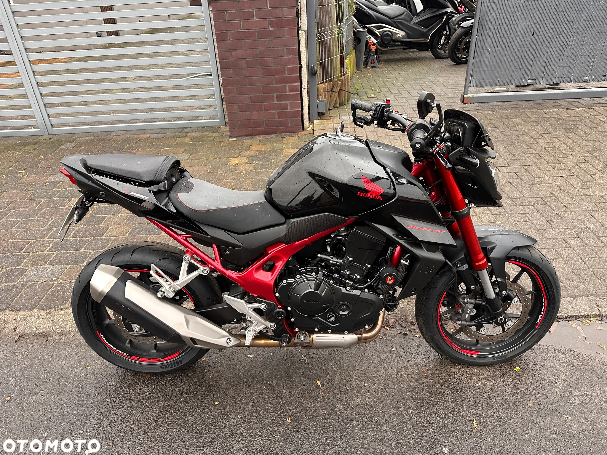 Honda Hornet - 4