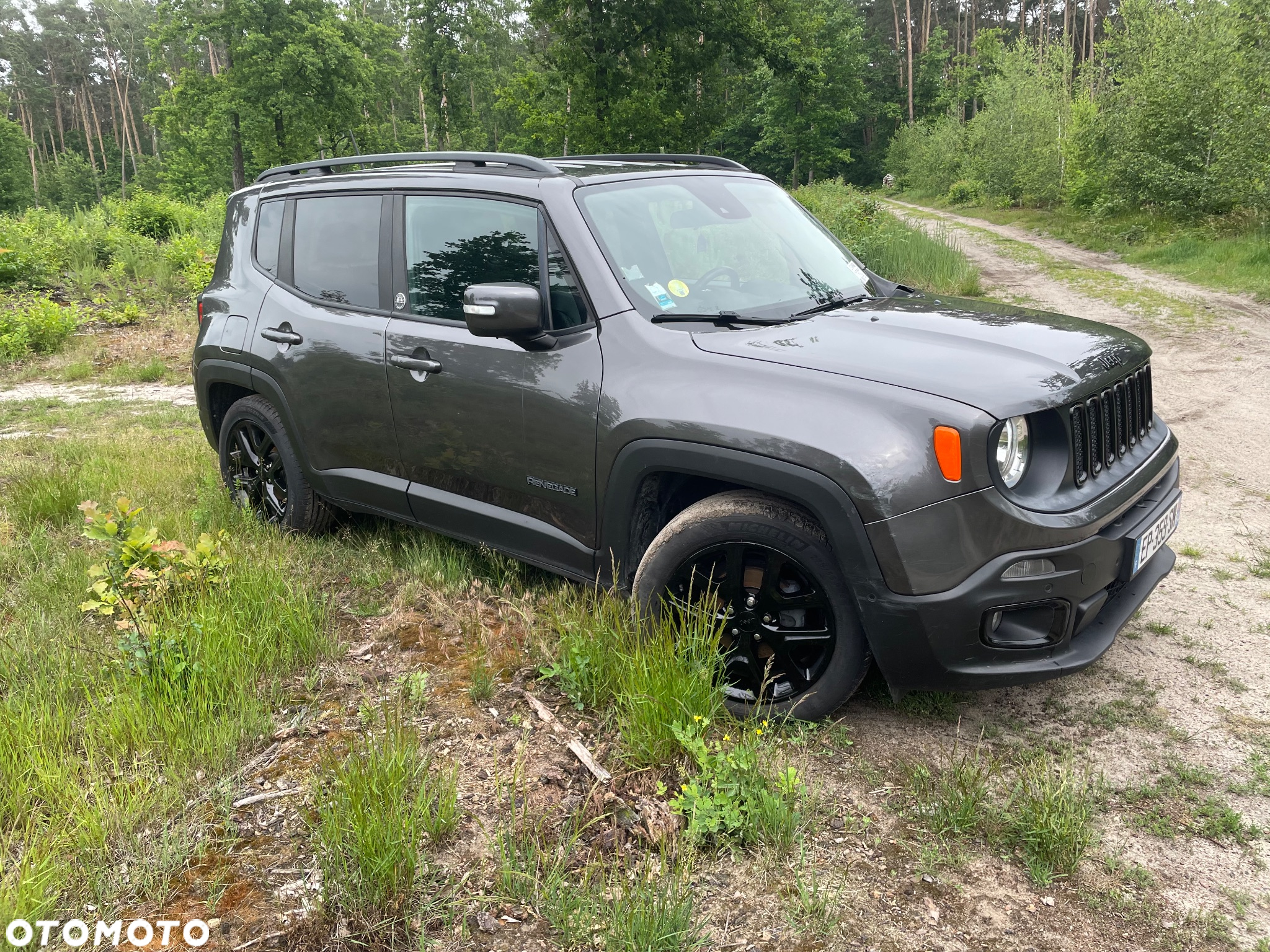 Jeep Renegade 1.6 MultiJet Opening Edition Start&Stopp - 12