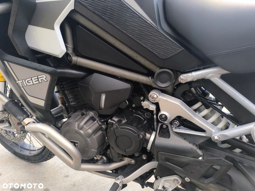 Triumph Tiger - 11