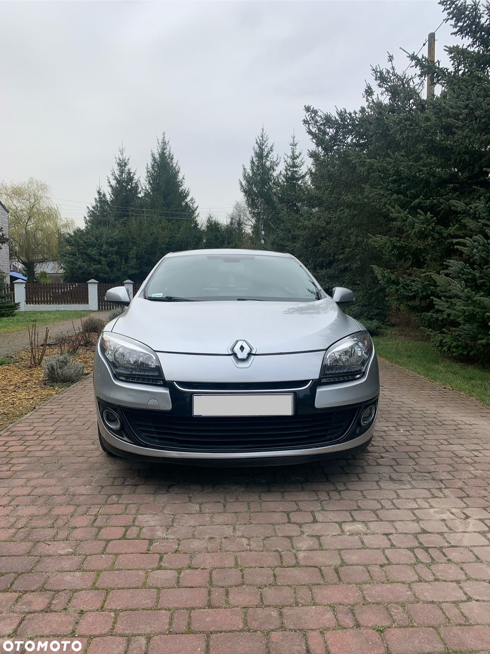 Renault Megane - 1
