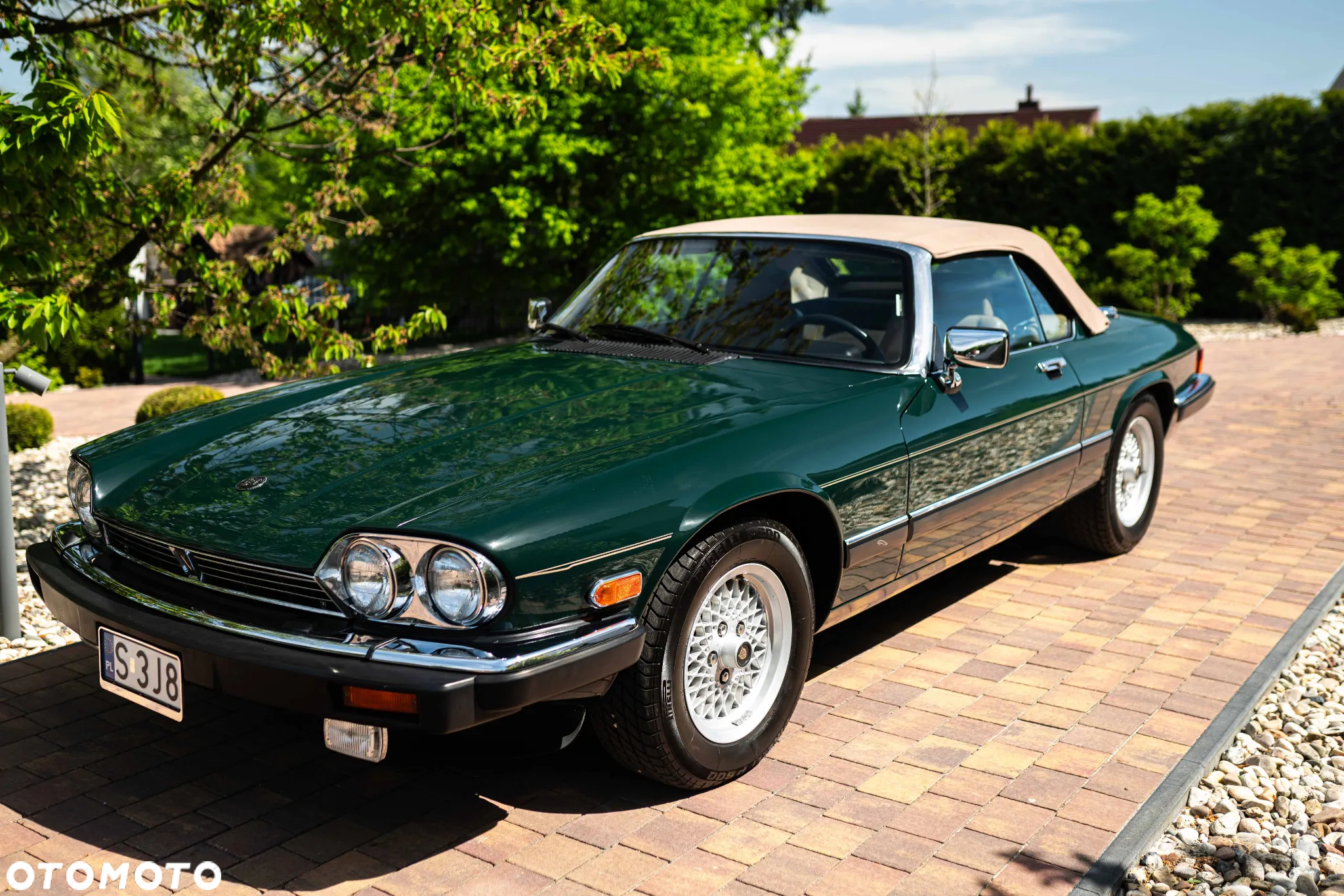 Jaguar XJS - 2