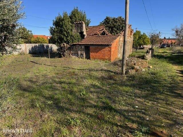 Oportunidade em Parceiros de São João:  Moradia em Ruína, com lote de - Grande imagem: 5/15