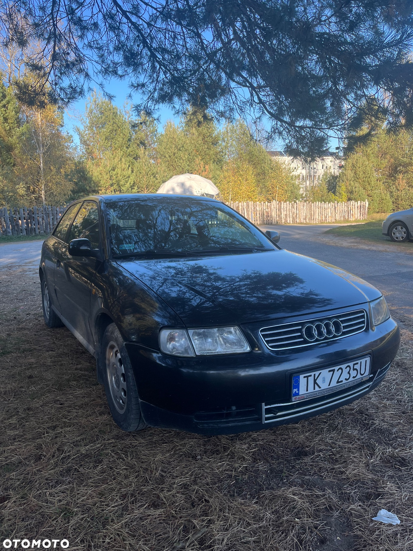 Audi A3 - 6