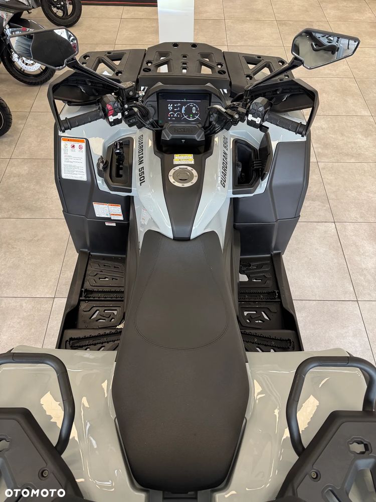 HISUN Guardian 550 - 4