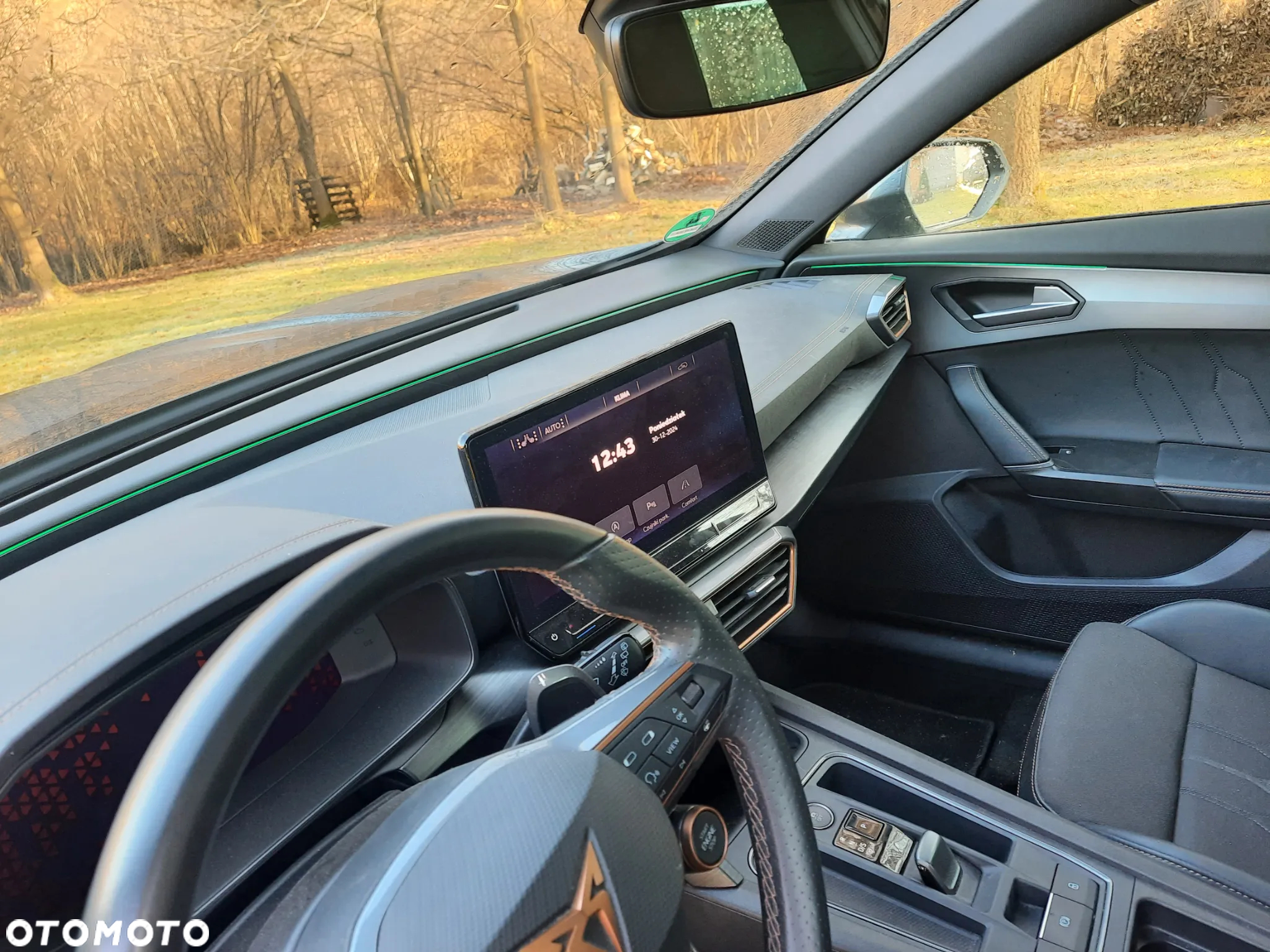 Cupra Formentor VZ 2.0 TSI 4Drive DSG - 13