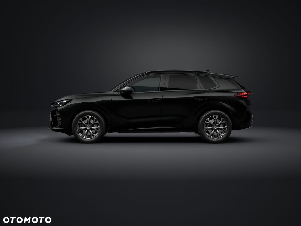 Cupra Terramar - 2