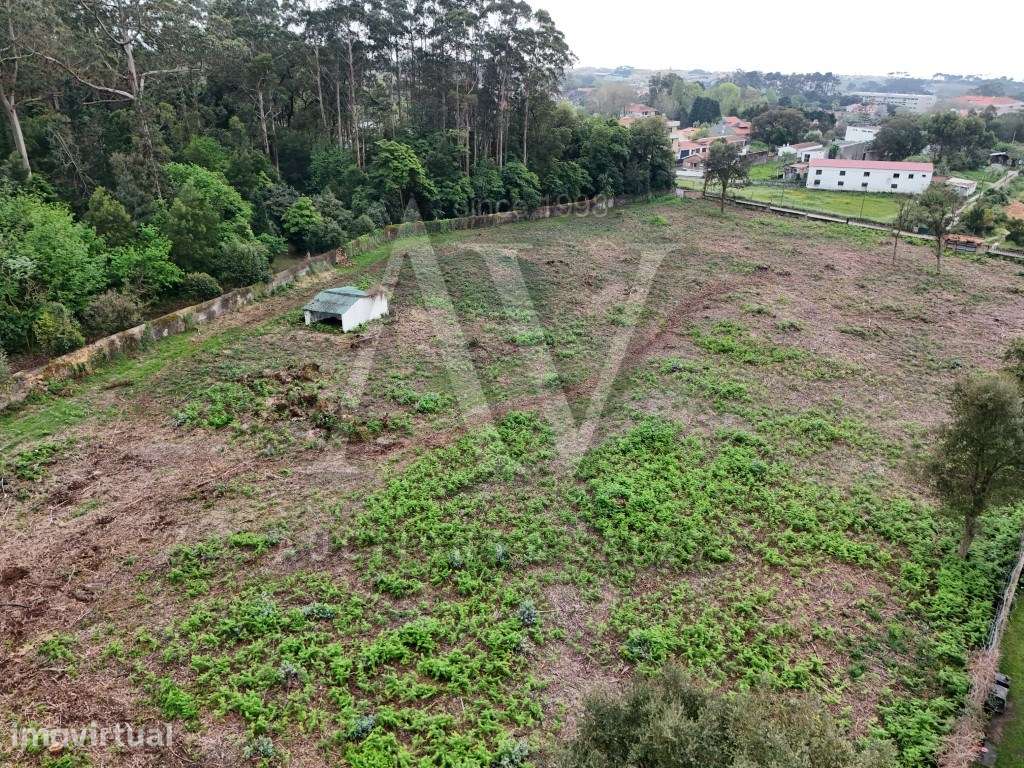 Excelente Terreno, Arcozelo, Vila Nova de Gaia , com 11.408 m2 - Grande imagem: 3/14