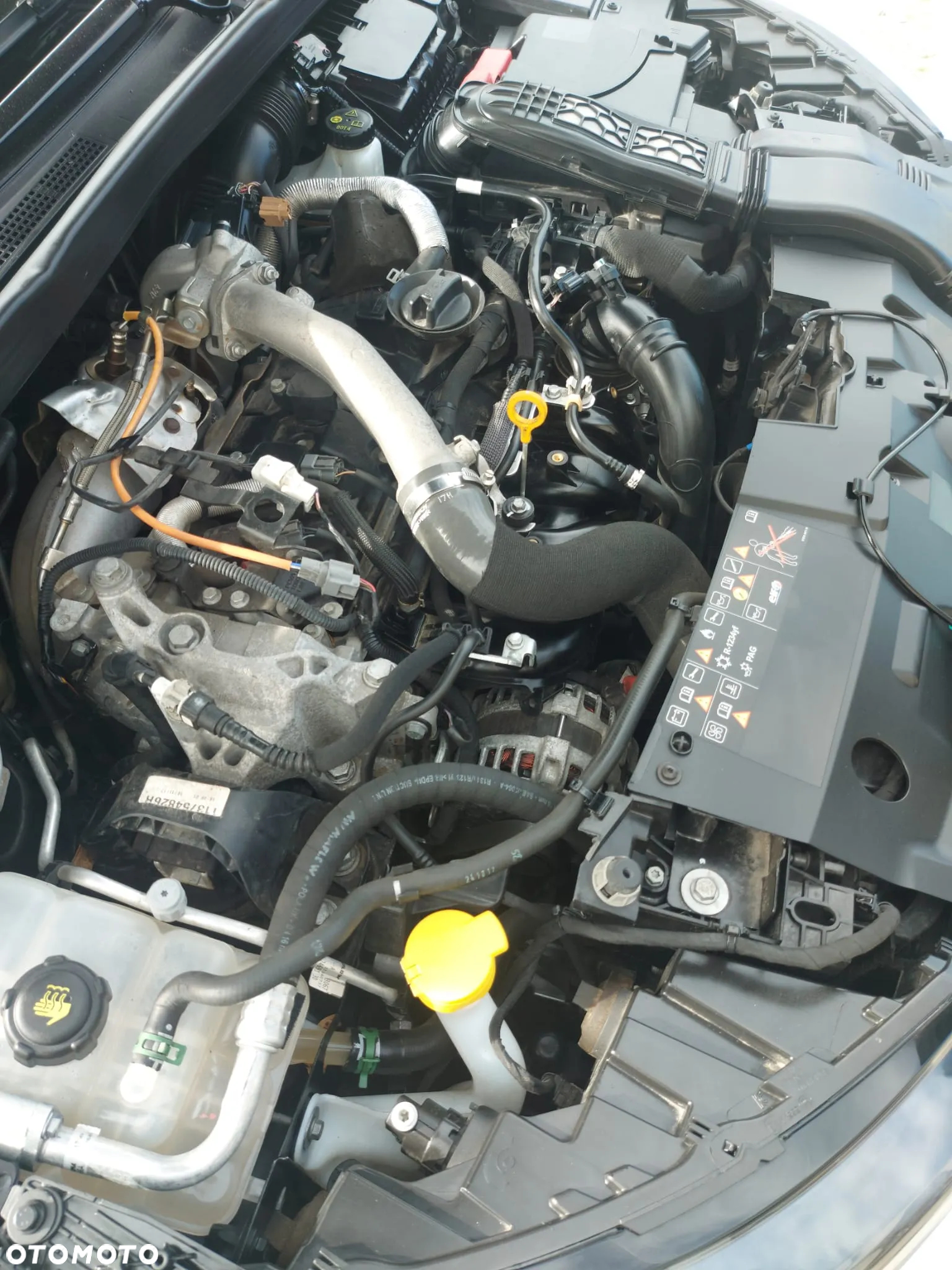 Renault Megane 1.6 TCe GT EDC - 16