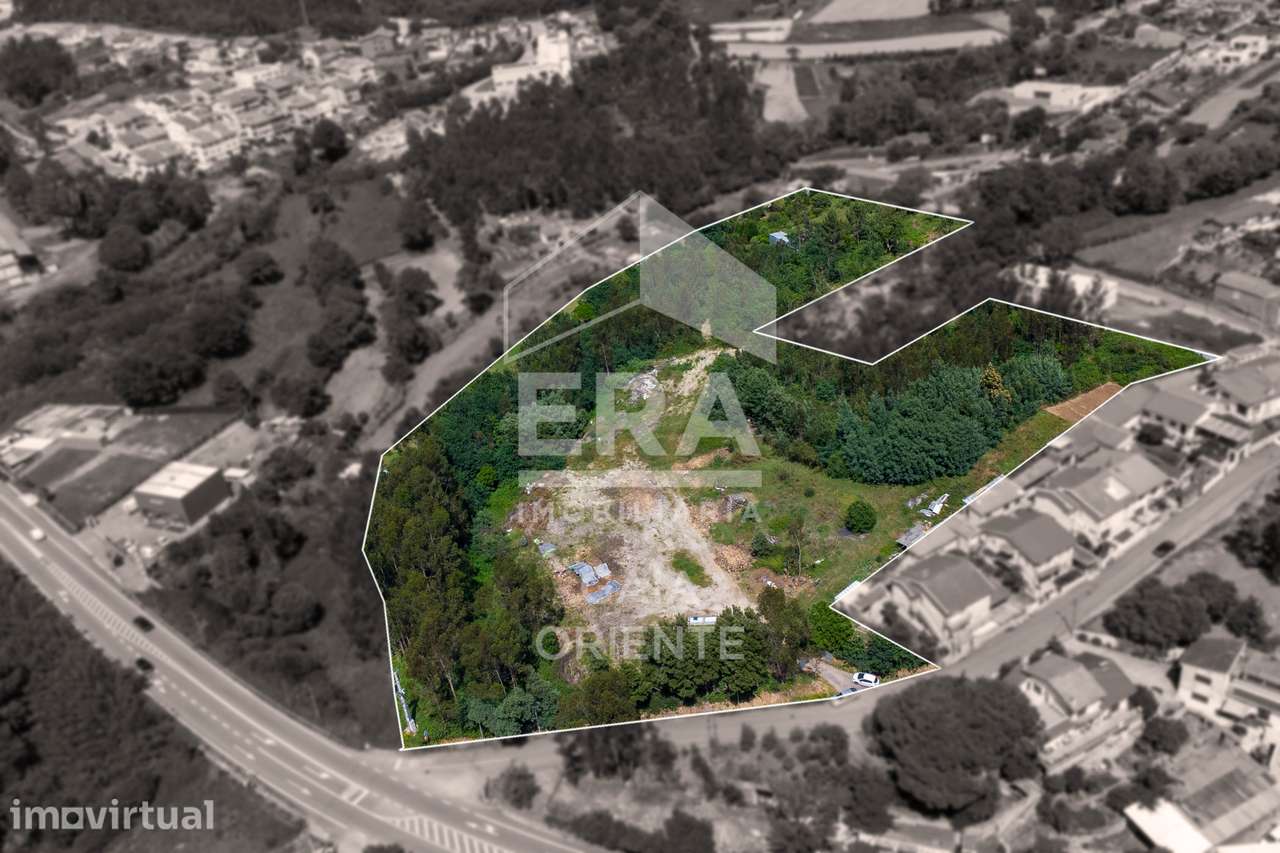 Terreno rústico com 16.179 m² em Olival - Grande imagem: 3/5