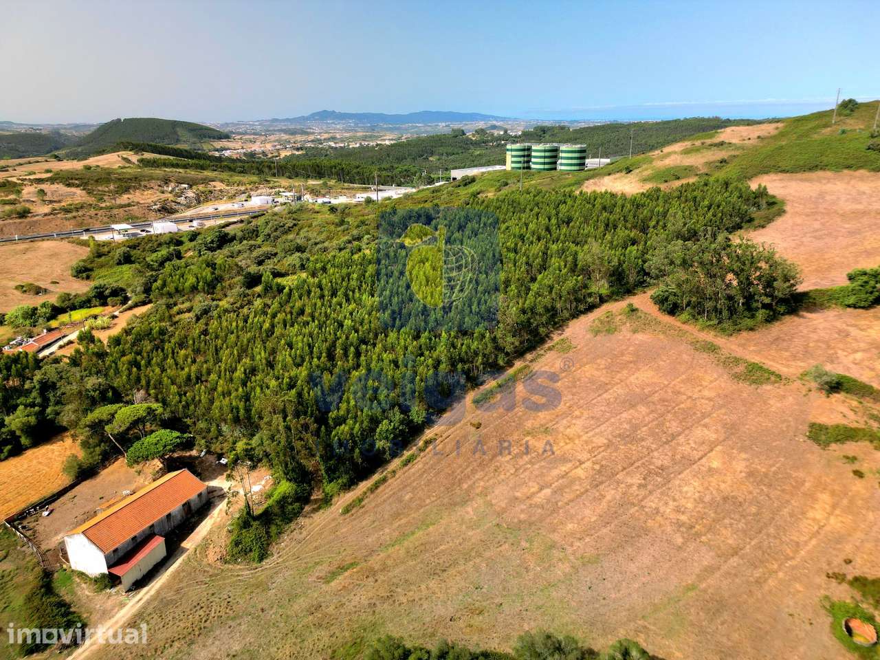 Terreno Rústico com Eucaliptal 14.621m² Abrunheira - Mafra - Grande imagem: 4/6