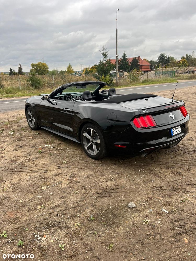 Ford Mustang 5.0 Ti-VCT V8 Black Shadow Edition - 4
