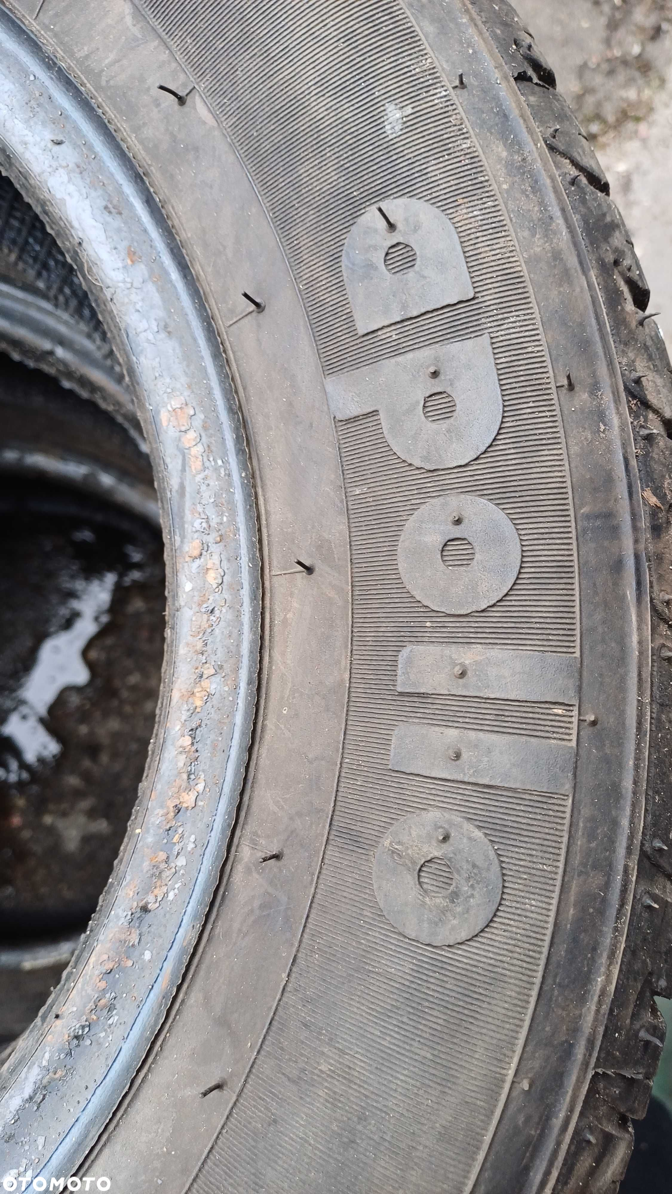 Apollo Amazer 3G Maxx 175/70 R13 82T 2021r - 5
