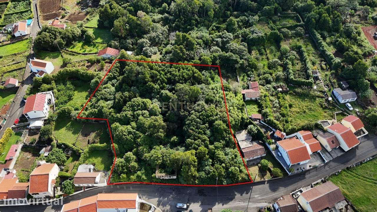 Oportunidade Única: Casa em Ruína com Amplo Terreno – Rua do Bairro de - Grande imagem: 3/3